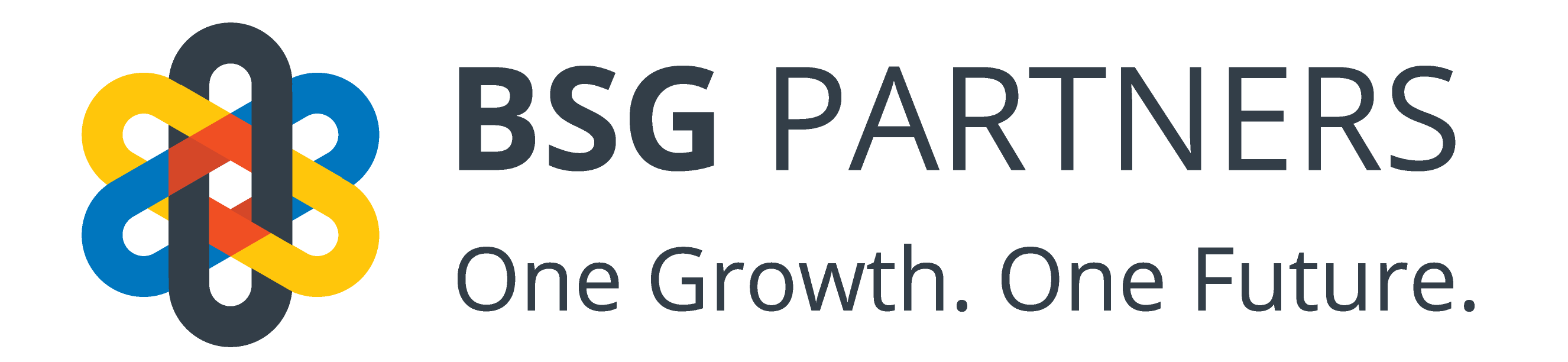 BSG Logo_big
