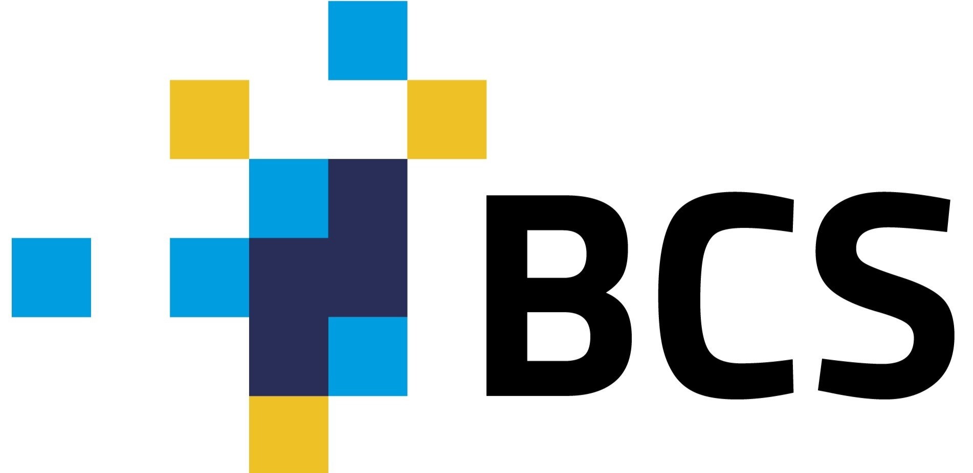 BCS Business Consulting Services Kft. logo