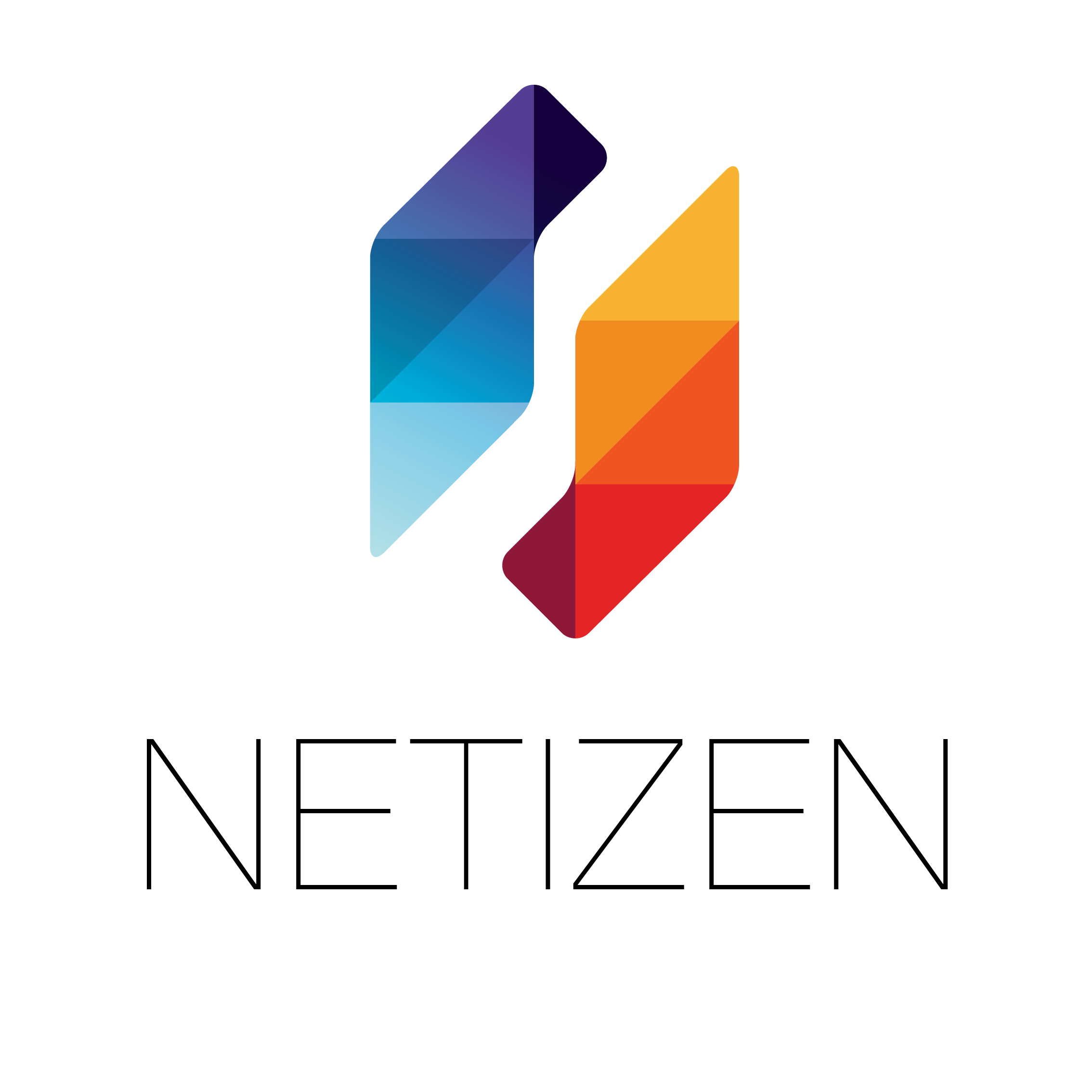 Netizen Co., Ltd. logo